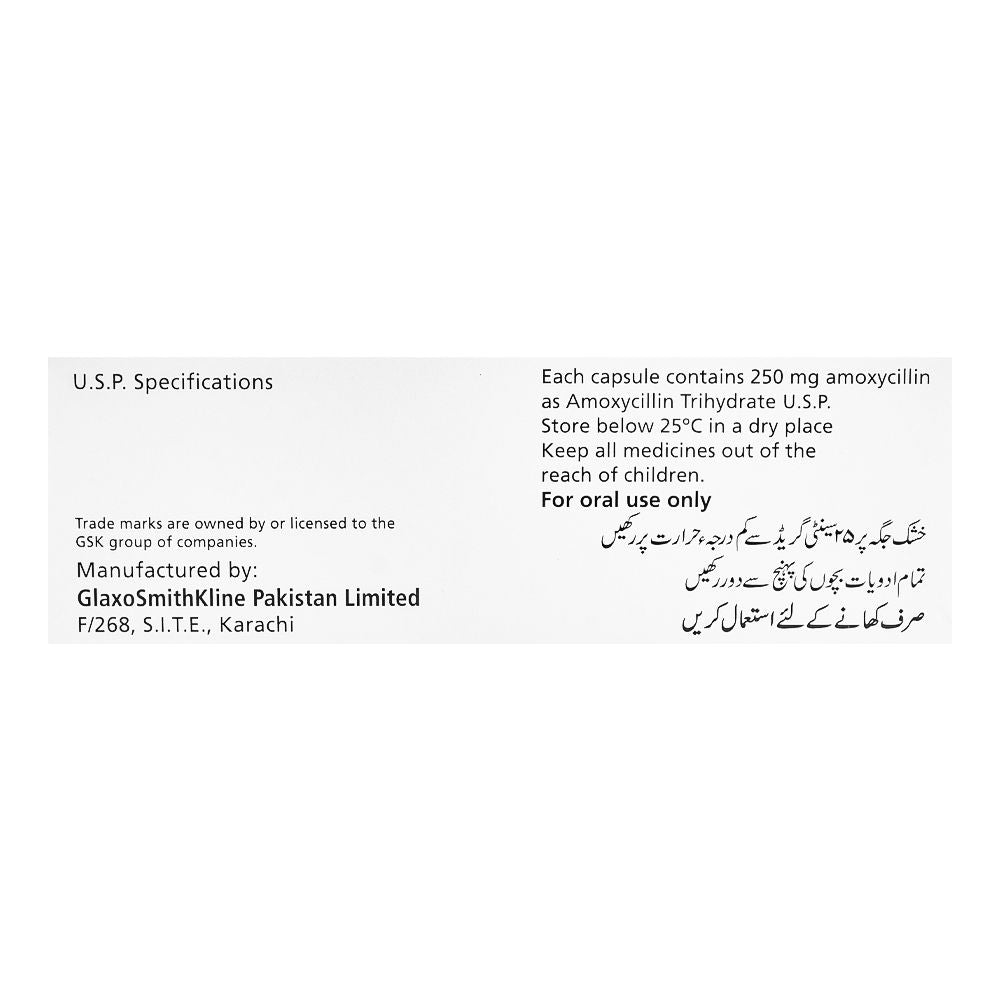 GSK Amoxil Capsule, 250mg, 1-Strip product image 4 - Bolanclinic
