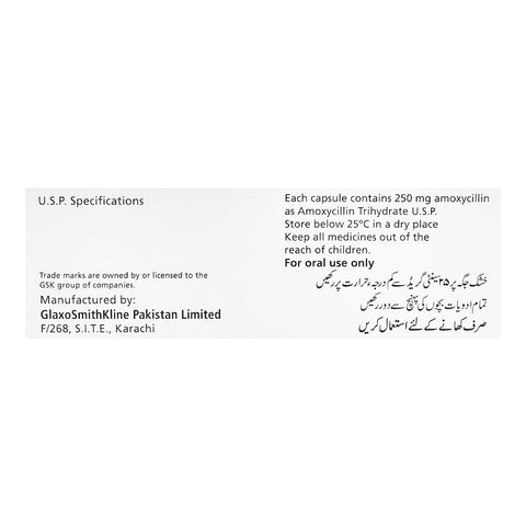 GSK Amoxil Capsule, 250mg, 1-Strip product image 4 - Bolanclinic