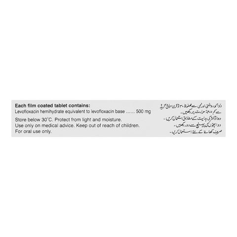 Barrett Hodgson Dynaquin Tablet, 500mg, 10-Pack product image 3 - Bolanclinic