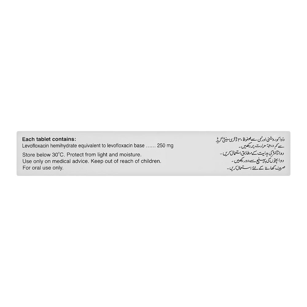 Barrett Hodgson Dynaquin Tablet, 250mg, 10-Pack product image 3 - Bolanclinic