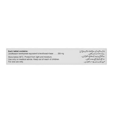 Barrett Hodgson Dynaquin Tablet, 250mg, 10-Pack product image 3 - Bolanclinic