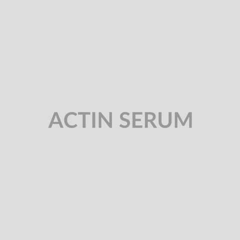 ACTIN SERUM - Bolan Clinic Pharmacy