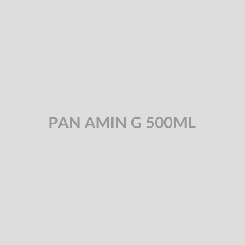 PAN AMIN G 500ML - Bolan Clinic Pharmacy