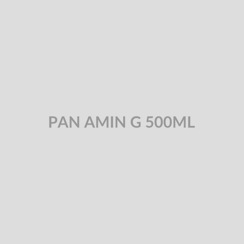 PAN AMIN G 500ML - Bolan Clinic Pharmacy